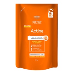 Actine Refil Gel De Limp 300g